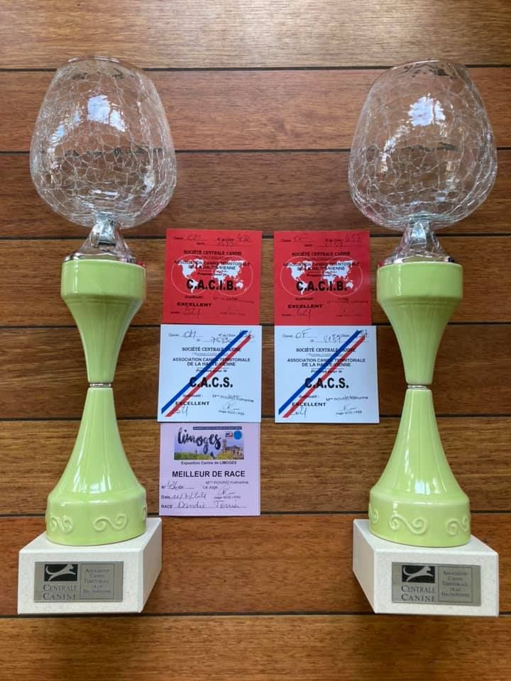 Stereden - Double exposition de Limoges 10 et 11 Juillet 2021